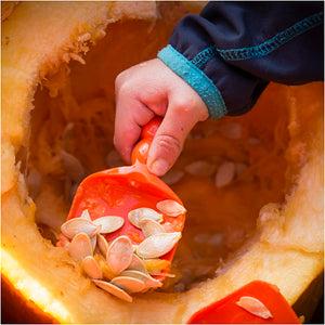 Pumpkin Carving Kit