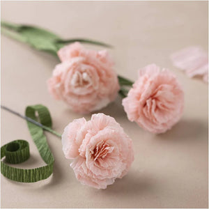Crepe Paper - Soft Rose 25x60cm (4 Sheets)