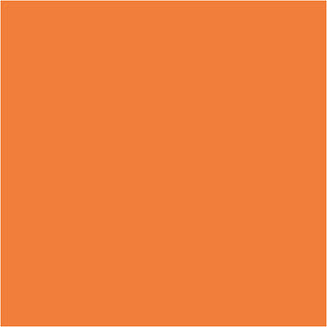 Plus Color Craft Paint