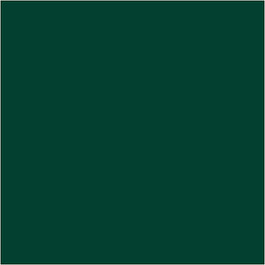 Plus Color Craft Paint