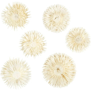 Dried flower heads, D 3-5 cm, 6 pc/ 1 pack