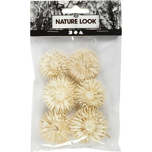 Dried flower heads, D 3-5 cm, 6 pc/ 1 pack
