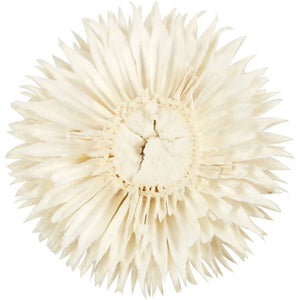 Dried flower heads, D 3-5 cm, 6 pc/ 1 pack