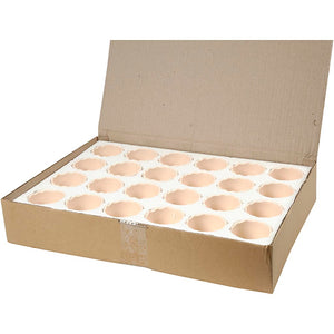 Egg Shell