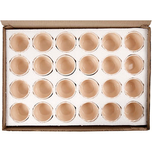 Egg Shell