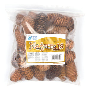 Long Pine Cones (Pack of 20)
