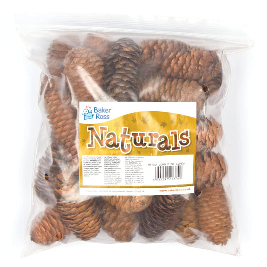 Long Pine Cones (Pack of 20)