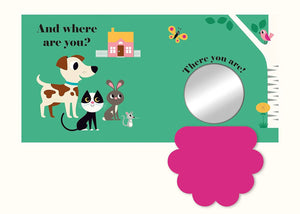 Fellt Flap Wheres Mr. Dog Book