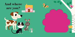 Fellt Flap Wheres Mr. Dog Book