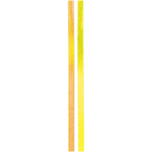 Tapes Slim,Yellow/Orange 10M