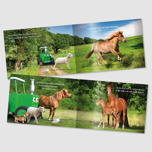 Tractor Ted Story Book - Herbs Surprise