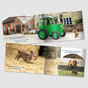 Tractor Ted Book  Hide and Seek