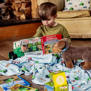 Tractor Ted - Noises On The Farm Board Book