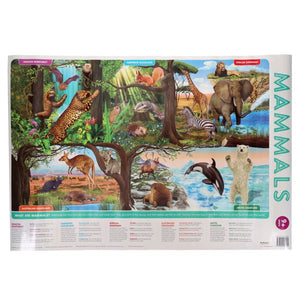 Help With Homework Wallcharts - Nature (3 Pack)
