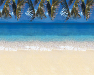 Fadeless Roll Tropical Beach 1218mm x 3.6m