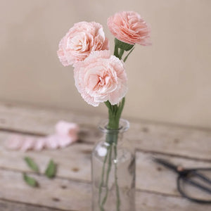 Mini Craft Kit Crepe Paper Carnations