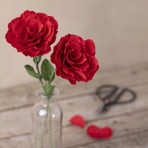 Mini Craft Kit Crepe Paper Roses