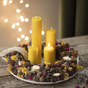 Eucalyptus cones, 25 g/ 1 pack