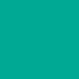 W/N BRUSH MARKER- OCEAN TEAL