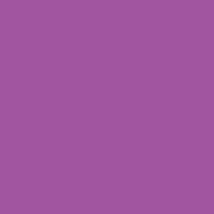 W/N BRUSH MARKER- PURPLE