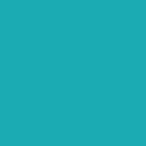 W/N BRUSH MARKER- TURQUOISE