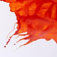 Winsor Newton Orange Ink 14ml