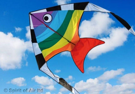 Aqua Flyer - Rainbow