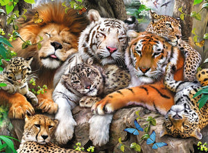Big Cat Nap 200 Piece Xxl Jigsaw Puzzle