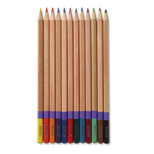REEVES Colouring Pencil - 12 Pack