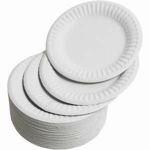 6" Paper Plates Pack Of 100