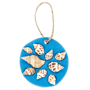 Mollusc Shells (Pack of 200g)