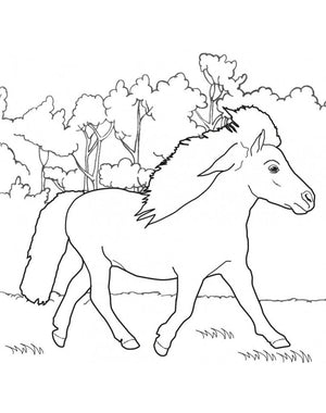 Tractor Ted Activity Book