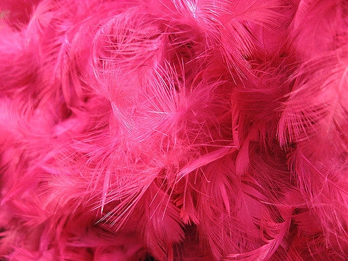 Pink Feathers 200 Pieces