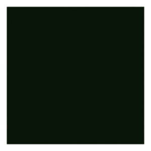 Rvs Acrylic 200ml Mars Black