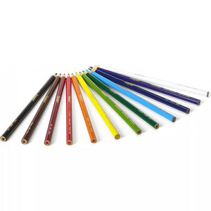 Crayola Coloured Pencils - Eco (Pack of 12)