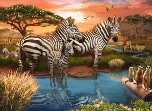 500 Piece Jigsaw - Zebras at Waterhole
