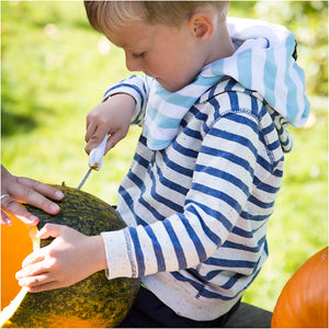 Pumpkin Carving Kit
