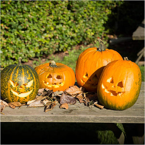 Pumpkin Carving Kit