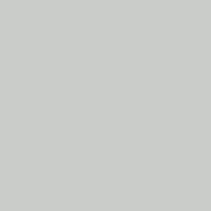 Card A4 220g grey (10 Sheets)