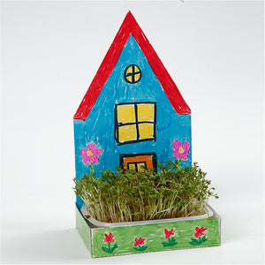 Figure Shaped Cress Trays
