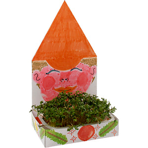 Figure Shaped Cress Trays