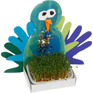 Figure Shaped Cress Trays