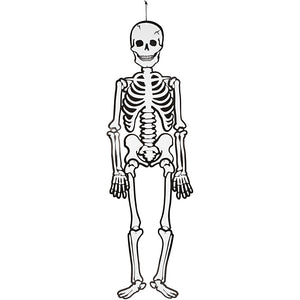 Skeleton
