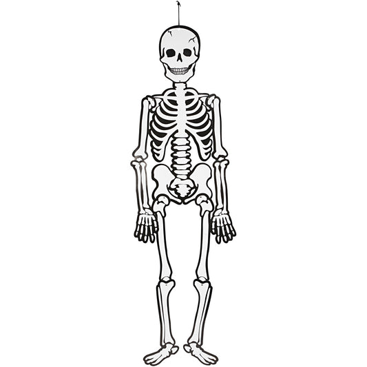 Skeleton