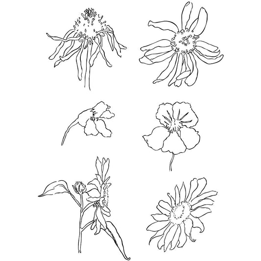 Clear Stamps