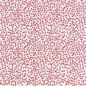 Design Paper