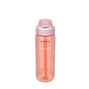 BPA free water bottle with Straw lid Mango Tango