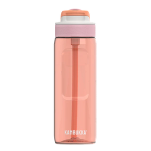 BPA free water bottle with Straw lid Mango Tango