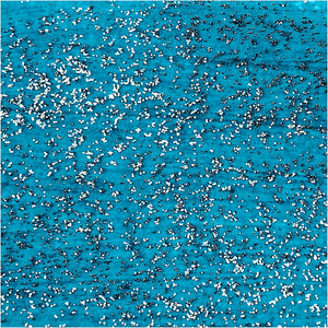 Glitter Acrylic Paint