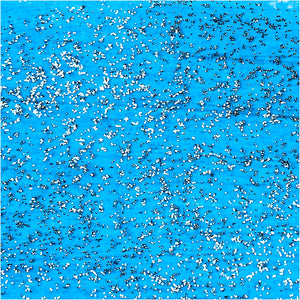 Glitter Acrylic Paint